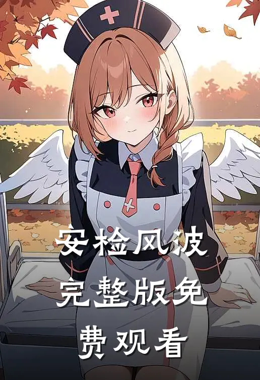 安检风波完整版免费观看